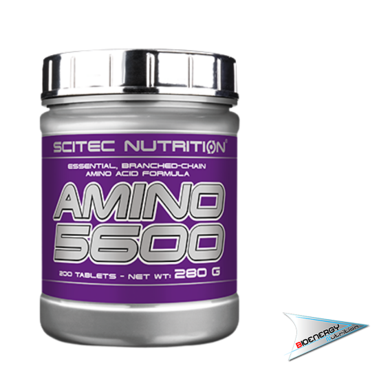 SciTec - AMINO 5600 - 